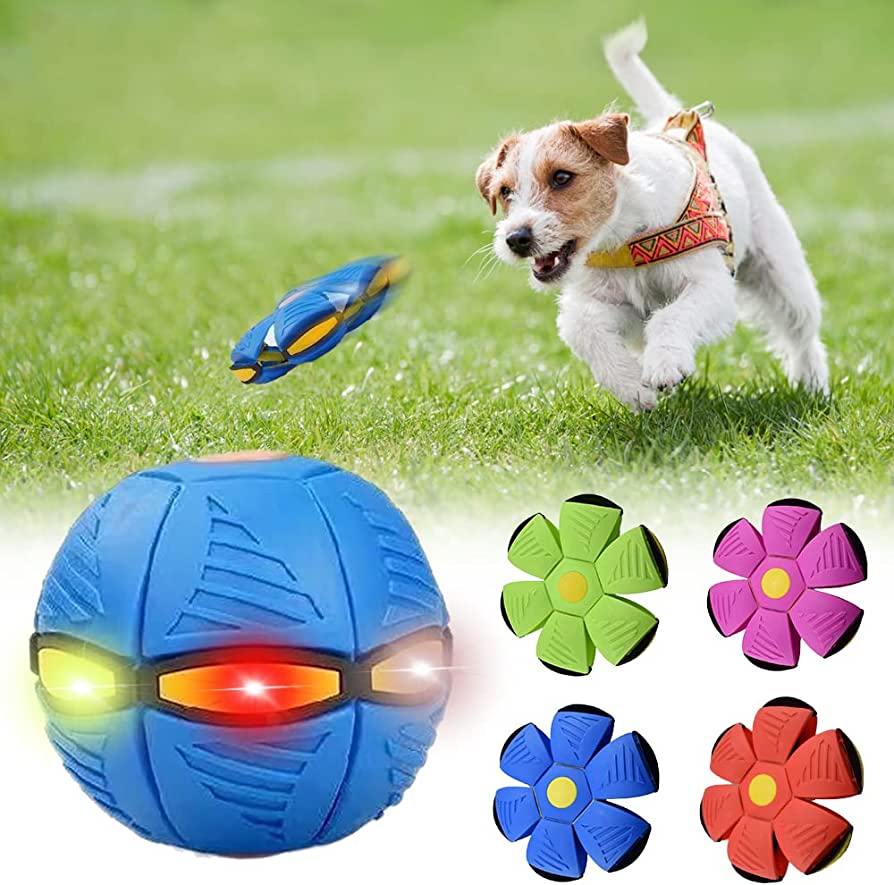 Purrfect Pets Dog Frisbee