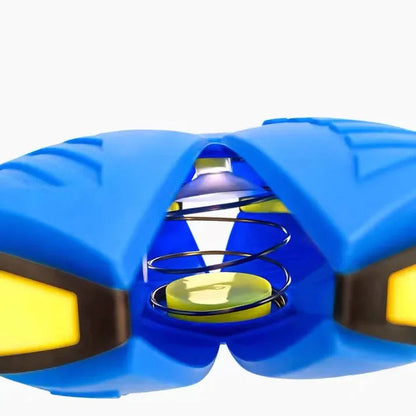 Purrfect Pets Dog Frisbee