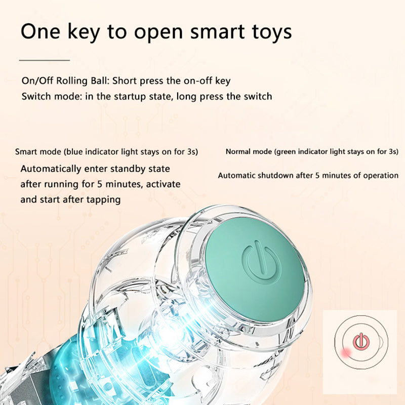 Purrfect Pets Interactive Ball