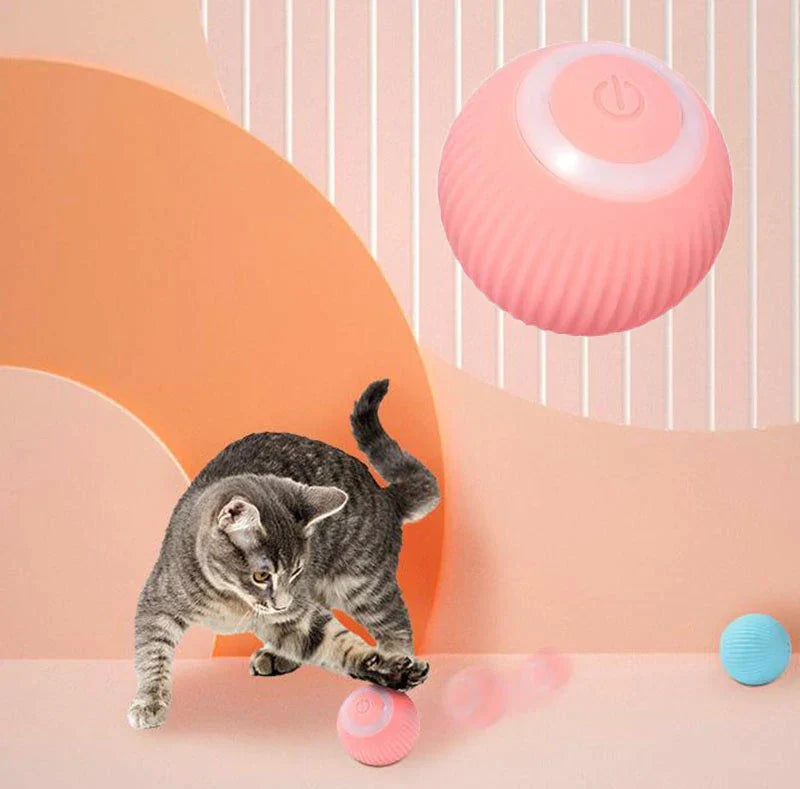 Purrfect Pets Interactive Ball