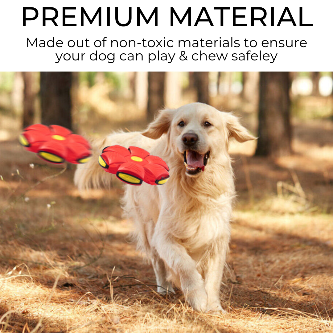 Purrfect Pets Dog Frisbee