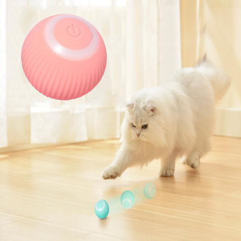 Purrfect Pets Interactive Ball