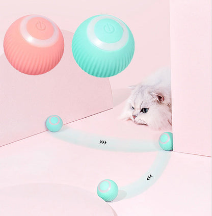 Purrfect Pets Interactive Ball